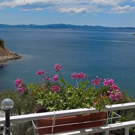 Apartmani Kunjasic Trstenik  Esterno foto