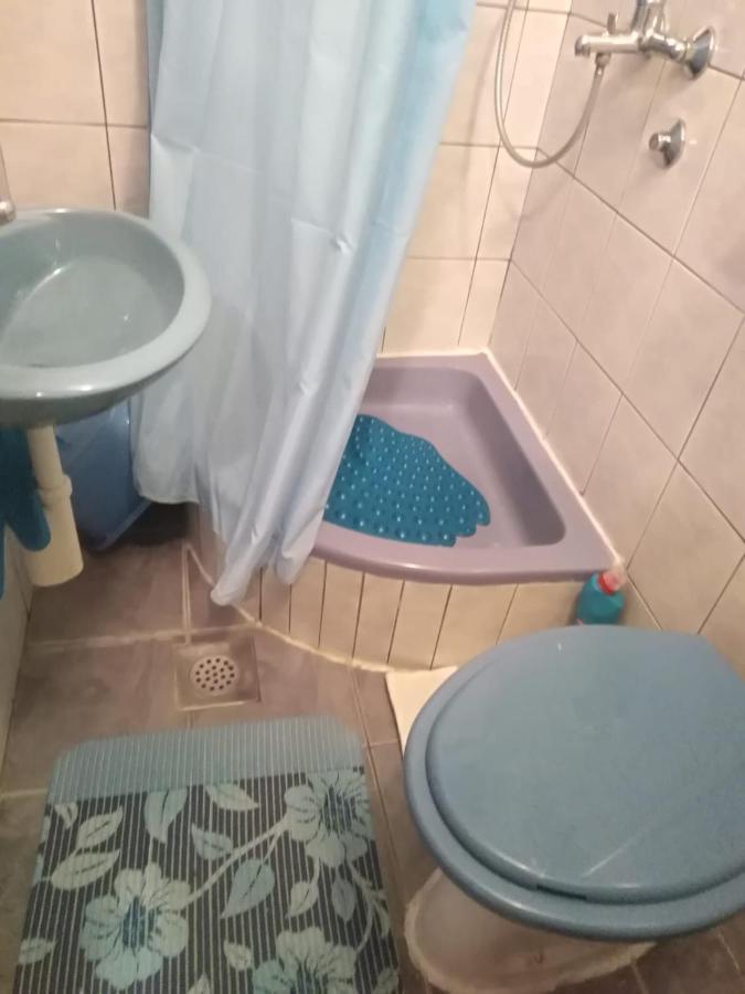 Apartmani Kunjasic Trstenik  Esterno foto