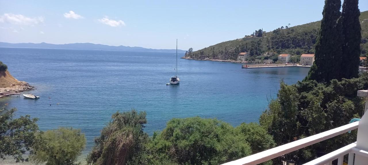 Apartmani Kunjasic Trstenik  Esterno foto