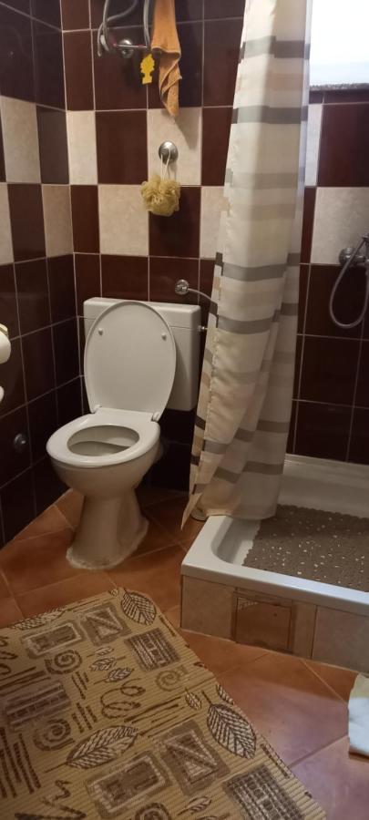 Apartmani Kunjasic Trstenik  Esterno foto